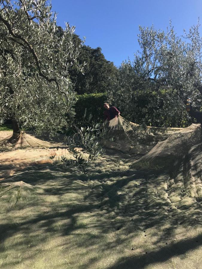 Podere Belvedere Ливорно Екстериор снимка